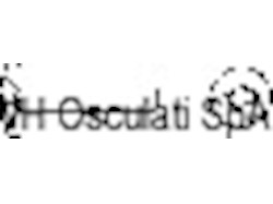 Viti cil.lar.cro.8X35 AISI 304 MET/TCL8X35